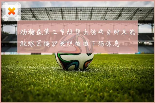 杨瀚森第三节短暂出场两分钟未能触球因掩护犯规被迫下场休息