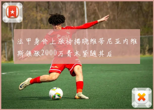 法甲身价上涨榜揭晓维蒂尼亚内维斯领涨2000万青木紧随其后