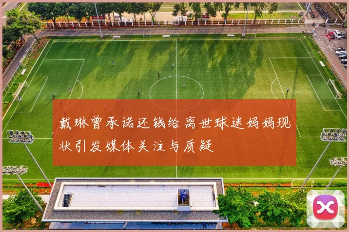 戴琳曾承诺还钱给离世球迷妈妈现状引发媒体关注与质疑